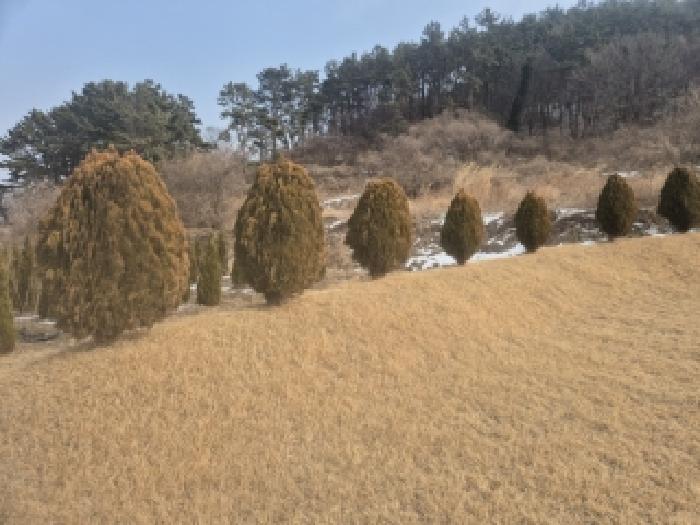 전남 영광군 법성면 전 경매 물건 사진 4 · 2025타경34710