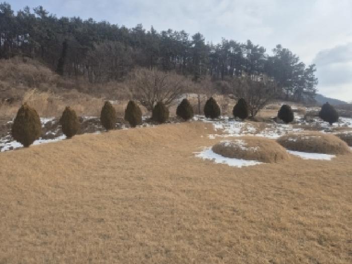 전남 영광군 법성면 전 경매 물건 사진 5 · 2025타경34710