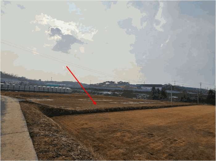 전남 장성군 삼서면 답 경매 물건 사진 6 · 2025타경34721