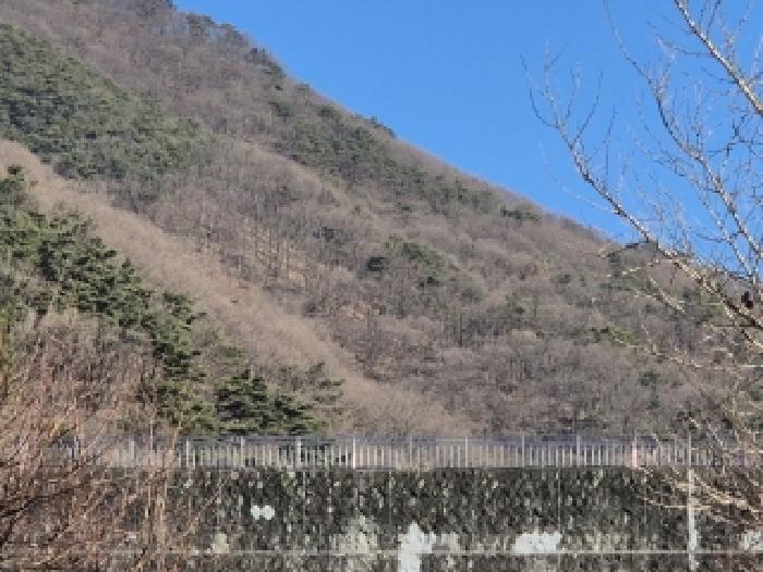 광주 동구 용연동 임야 경매 물건 사진