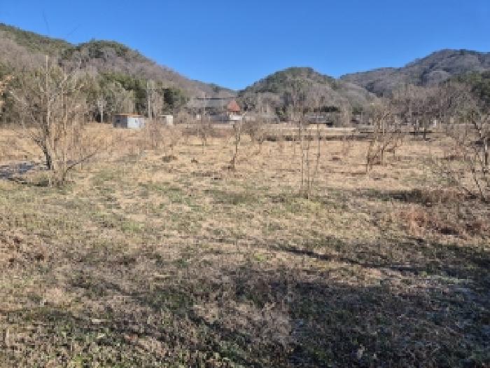 광주 광산구 신창동 전답 경매 물건 사진
