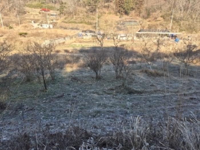 광주 광산구 신창동 전답 경매 물건 사진 6 · 2025타경34758