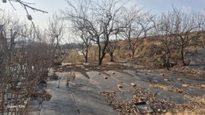 전남 나주시 평산동 답 경매 물건 사진 6 · 2025타경34766