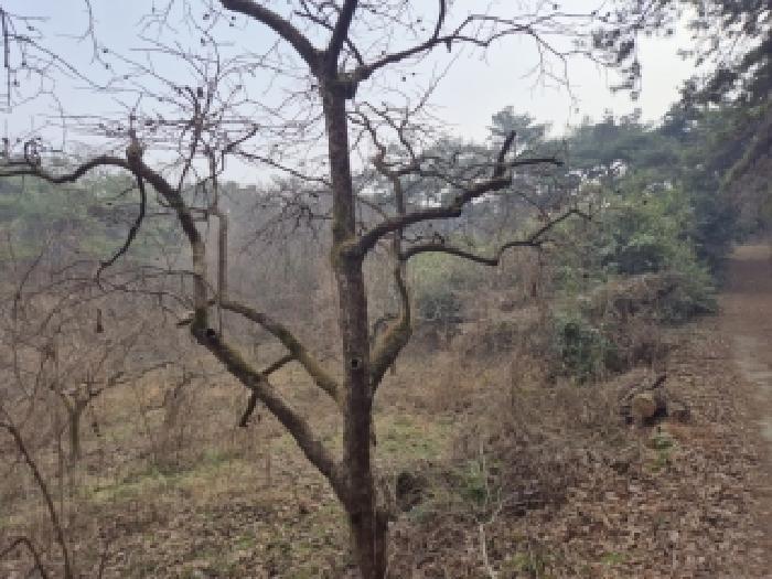 전남 영광군 불갑면 임야 경매 물건 사진 2 · 2025타경34771
