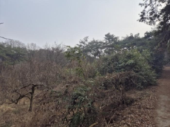 전남 영광군 불갑면 임야 경매 물건 사진 3 · 2025타경34771