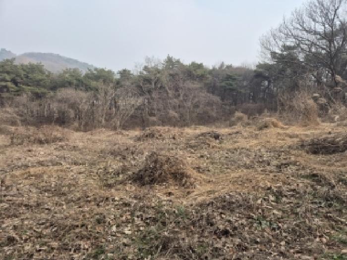 전남 영광군 불갑면 임야 경매 물건 사진 4 · 2025타경34771