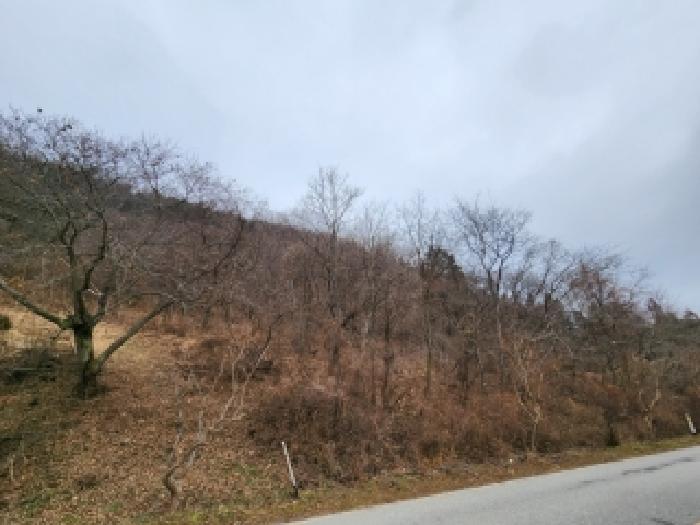 전남 담양군 가사문학면 답 경매 물건 사진