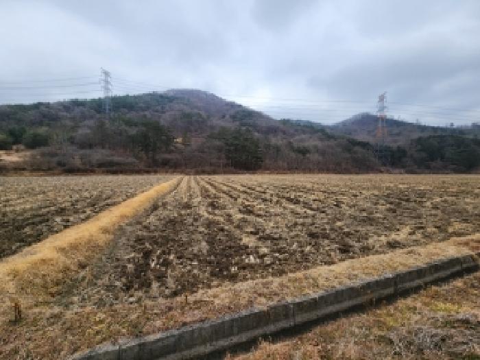 전남 담양군 가사문학면 답 경매 물건 사진 2 · 2025타경34783