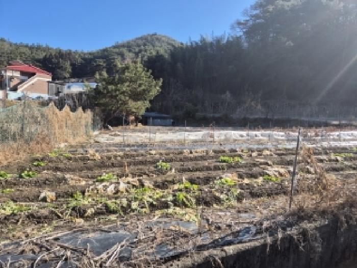 전남 화순군 도암면 전답 경매 물건 사진