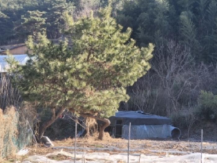 전남 화순군 도암면 전답 경매 물건 사진 2 · 2025타경34787
