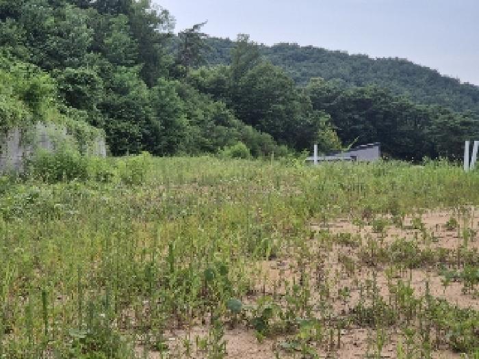 전남 장성군 황룡면 전 경매 물건 사진
