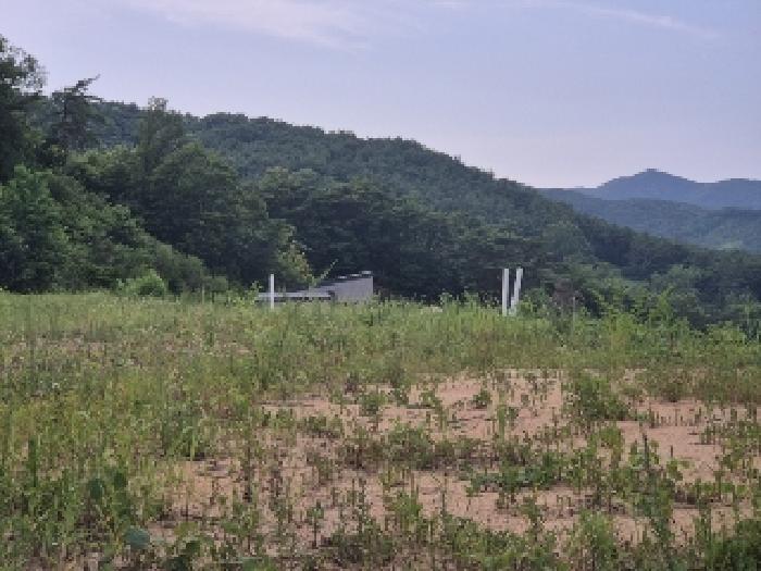 전남 장성군 황룡면 전 경매 물건 사진 2 · 2025타경3751