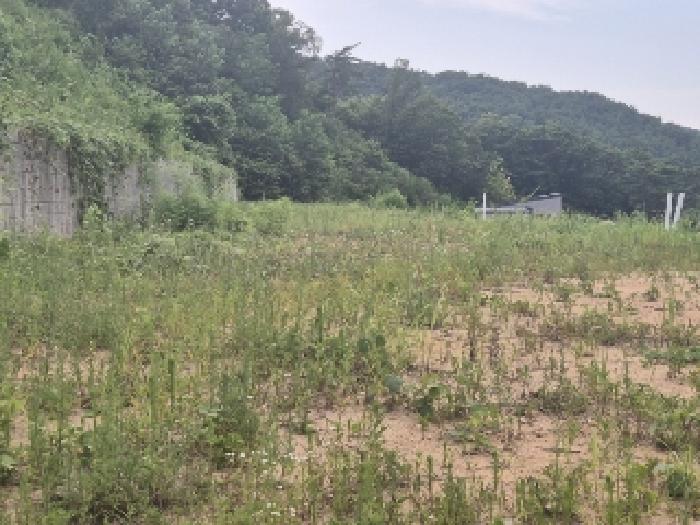전남 장성군 황룡면 전 경매 물건 사진 3 · 2025타경3751
