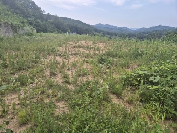 전남 장성군 황룡면 전 경매 물건 사진 5 · 2025타경3751