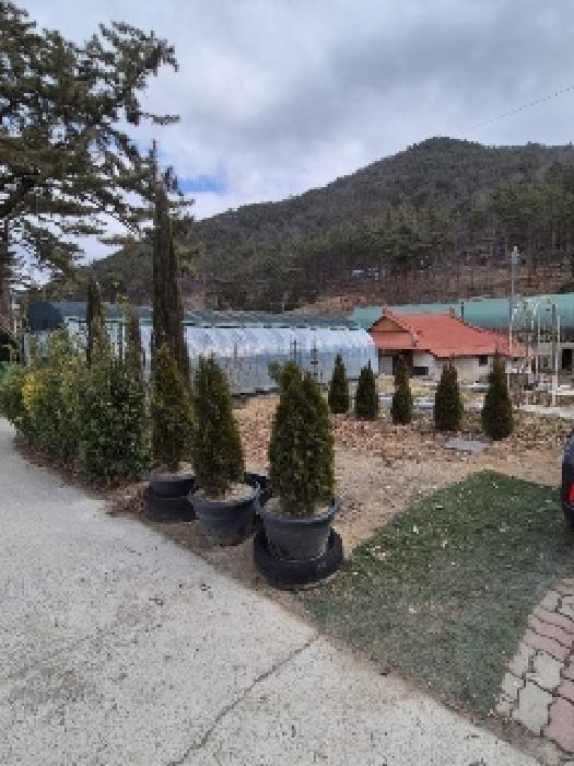 전남 화순군 이양면 근린생활시설 경매 물건 사진 2 · 2025타경400