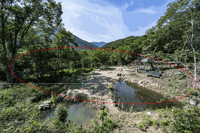 전남 곡성군 고달면 답 경매 물건 사진 6 · 2025타경4150