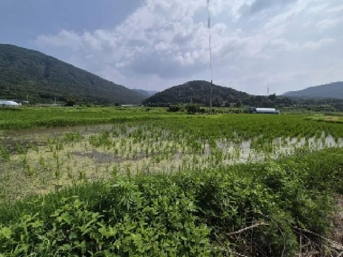 광주 북구 충효동 답 경매 물건 사진