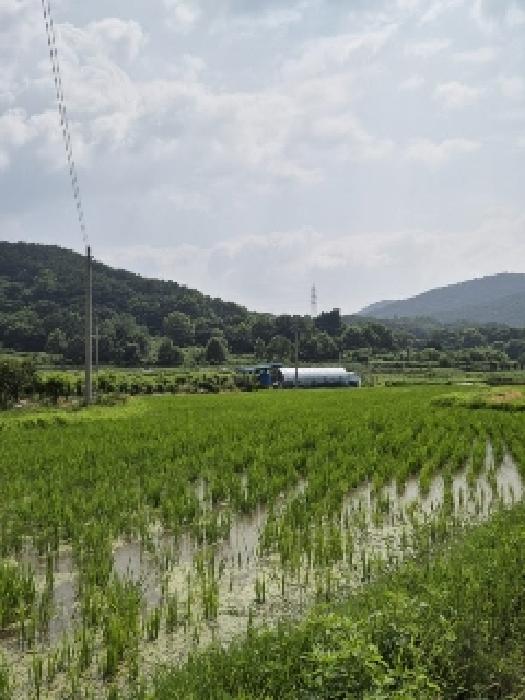 광주 북구 충효동 답 경매 물건 사진 2 · 2025타경4303