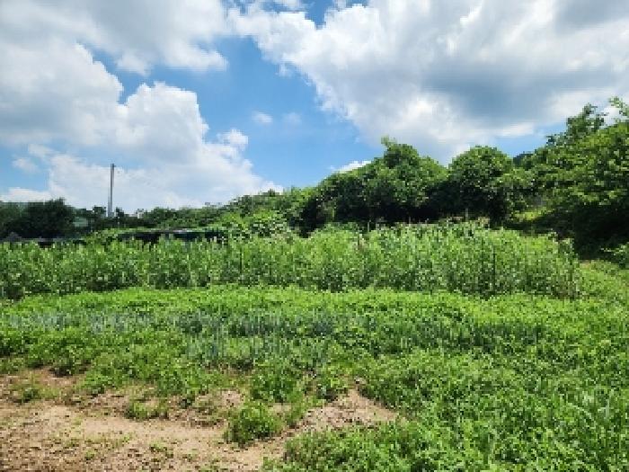 광주 남구 도금동 전 경매 물건 사진