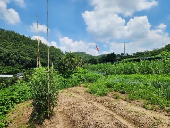 광주 남구 도금동 전 경매 물건 사진 2 · 2025타경4556