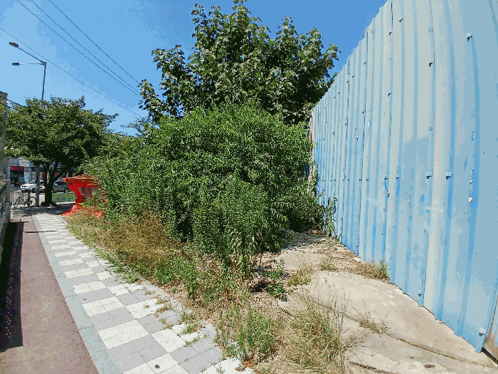 광주 서구 농성동 대지 경매 물건 사진 5 · 2025타경4563