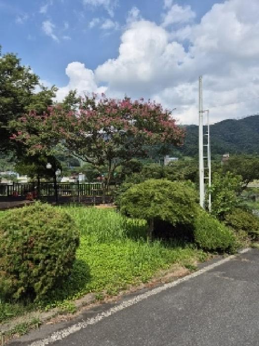 전남 장성군 북하면 대지 경매 물건 사진