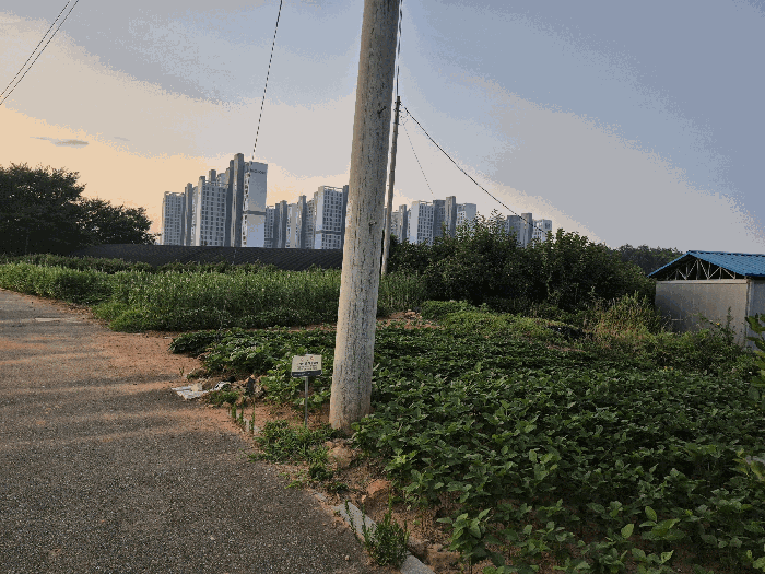 전남 나주시 금천면 과수원 경매 물건 사진 5 · 2025타경4730