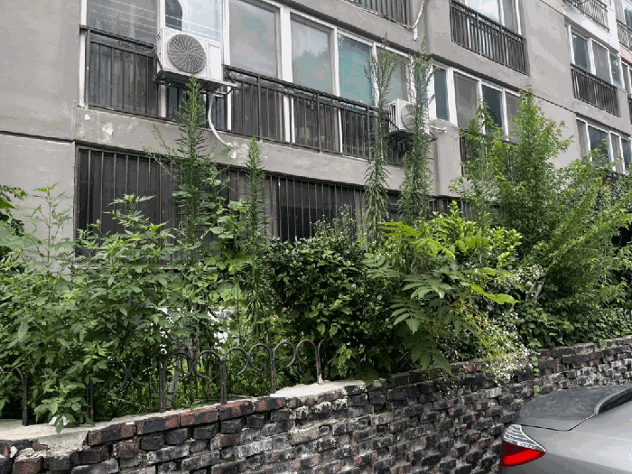 광주 남구 진월동 아파트 경매 물건 사진 3 · 2025타경4914