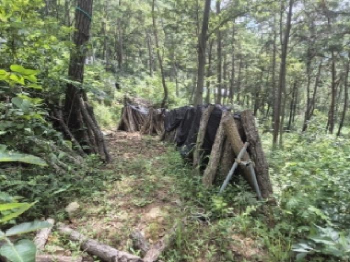 전남 화순군 이양면 토지 기타 경매 물건 사진 3 · 2025타경4983