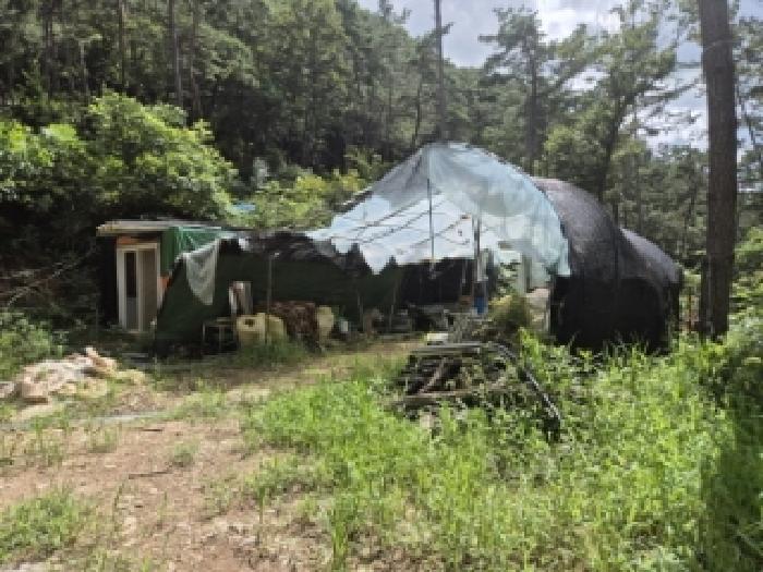 전남 화순군 이양면 토지 기타 경매 물건 사진 5 · 2025타경4983