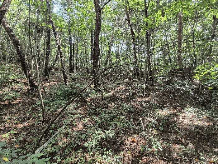 광주광역시 광산구 서봉동 산189-7 임야 경매 물건 사진