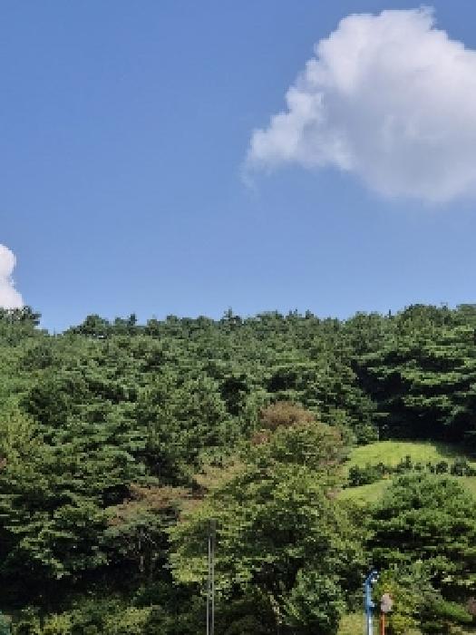 광주 광산구 서봉동 임야 경매 물건 사진