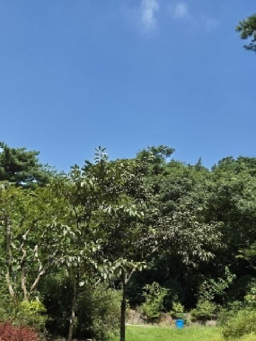 광주 광산구 서봉동 임야 경매 물건 사진 2 · 2025타경5030