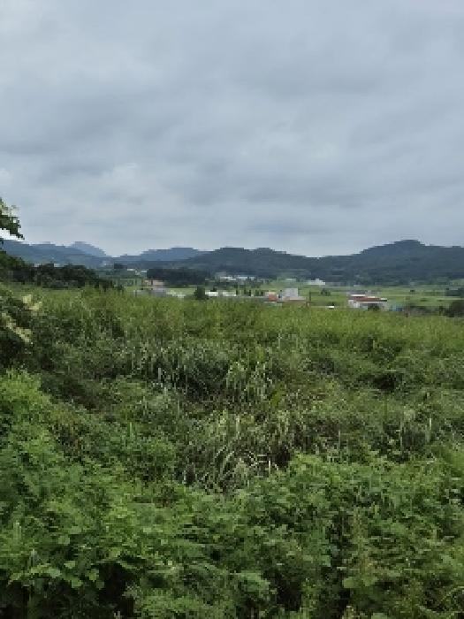 전남 영광군 묘량면 전 경매 물건 사진 2 · 2025타경5290