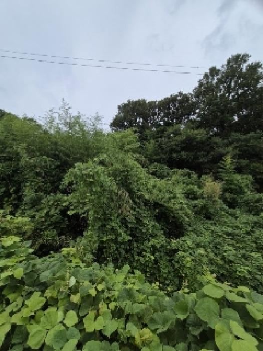 전남 영광군 묘량면 전 경매 물건 사진 3 · 2025타경5290