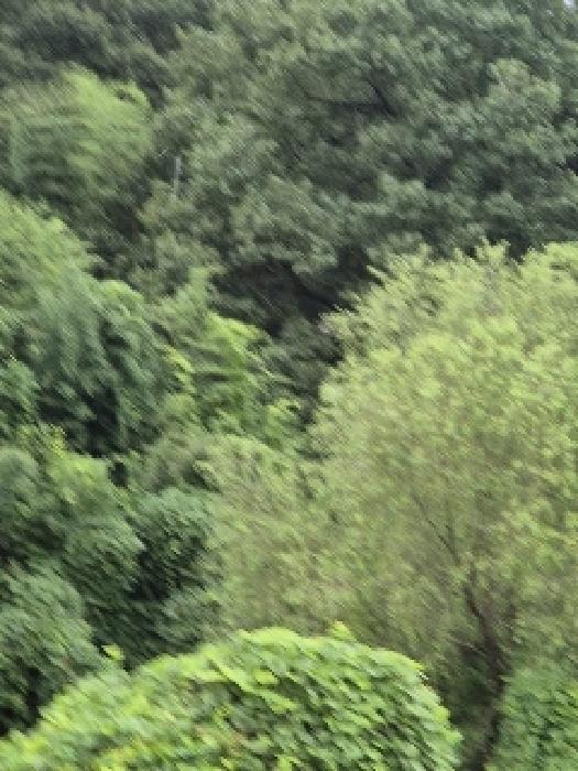 전남 영광군 묘량면 전 경매 물건 사진 5 · 2025타경5290