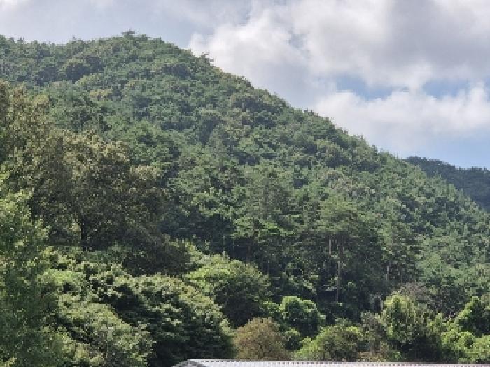 전남 화순군 화순읍 임야 경매 물건 사진
