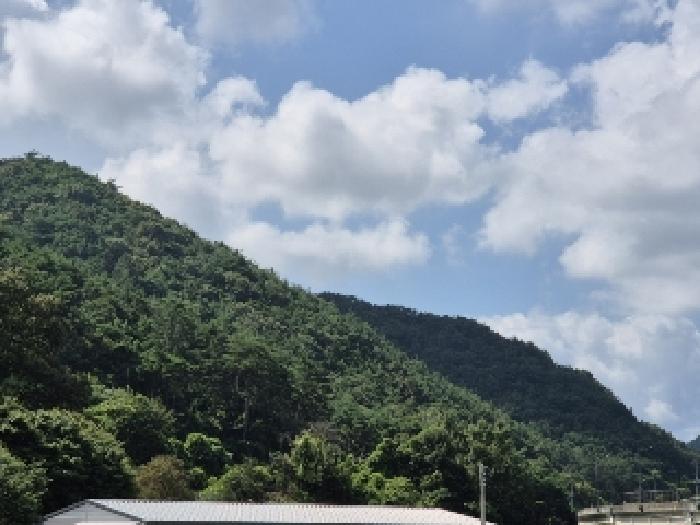 전남 화순군 화순읍 임야 경매 물건 사진 2 · 2025타경5603