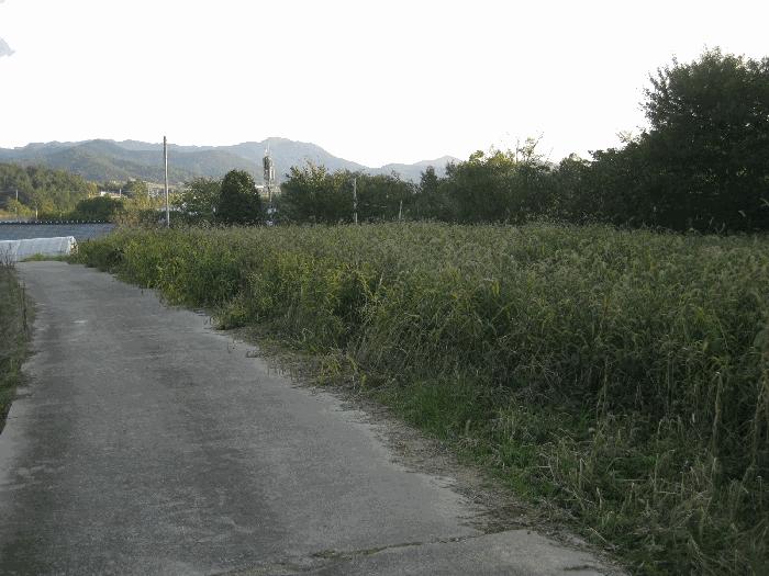 전남 영광군 염산면 전 경매 물건 사진 5 · 2025타경5979