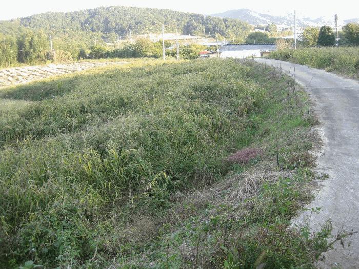 전남 영광군 염산면 전 경매 물건 사진