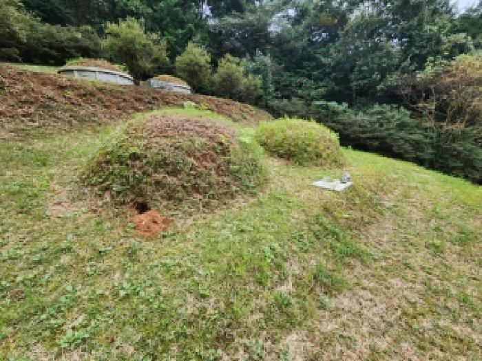전남 나주시 안창동 임야 경매 물건 사진 2 · 2025타경6095