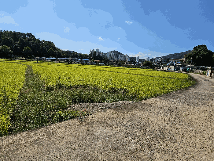 전남 나주시 남외동 답 경매 물건 사진 5 · 2025타경6200