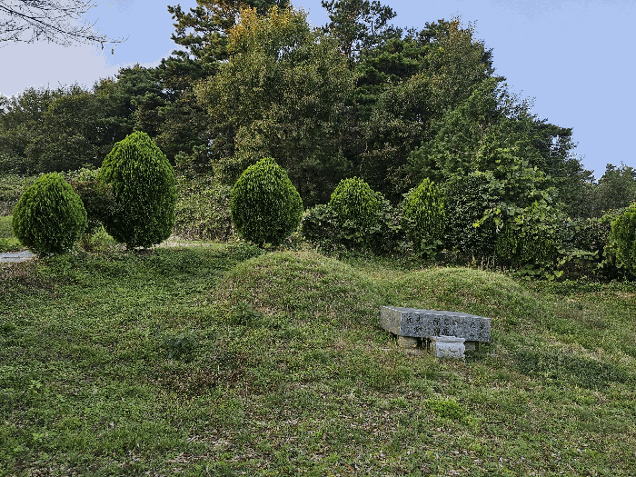 전라남도 장성군 삼서면 두월리 187 잡종지 경매 물건 사진