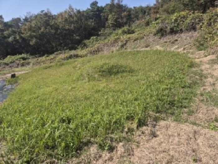 전남 장성군 삼서면 잡종지 경매 물건 사진
