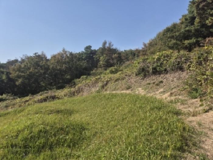 전남 장성군 삼서면 잡종지 경매 물건 사진 2 · 2025타경6613