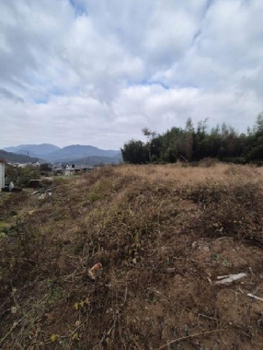 전남 담양군 담양읍 대지 경매 물건 사진 2 · 2025타경7012