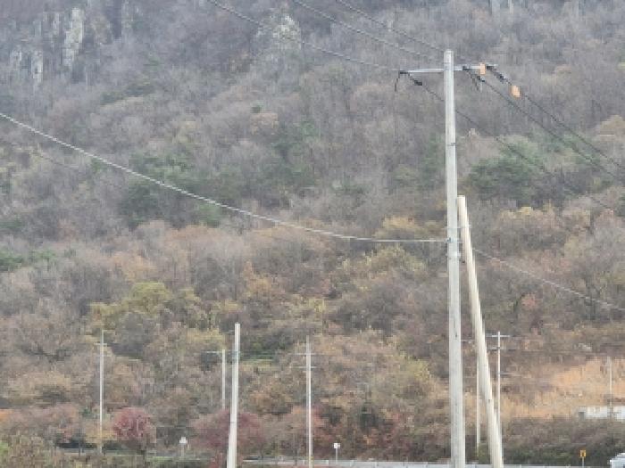 전남 화순군 동면 과수원 경매 물건 사진