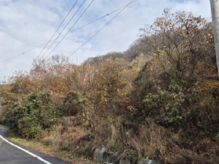 전남 화순군 동면 과수원 경매 물건 사진 3 · 2025타경7173