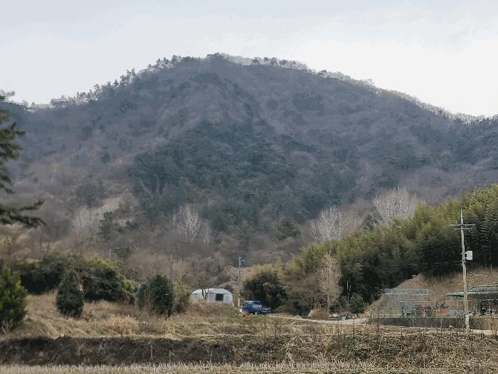 전남 나주시 봉황면 대지 경매 물건 사진 5 · 2025타경721