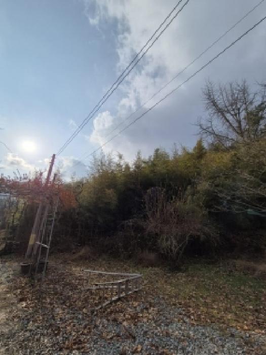 전남 담양군 대덕면 대지 경매 물건 사진 2 · 2025타경7449